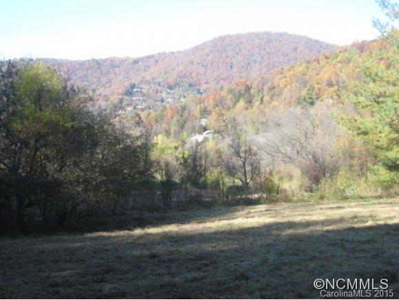 Lot 1-b) Lot 1-b) Rice Branch Road Asheville, NC 28804 - Photo 11 of 15 Gallery Image 11