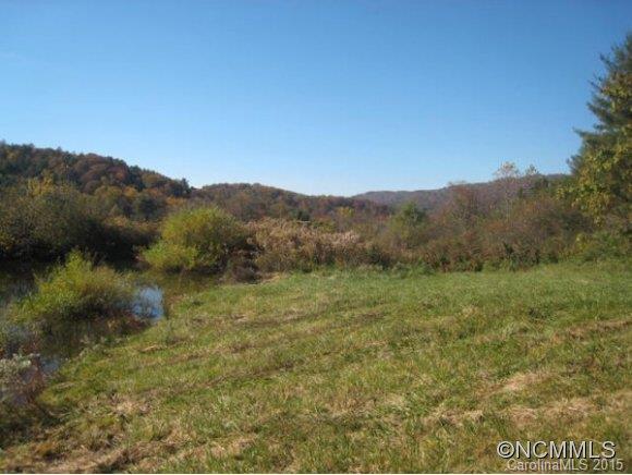 Lot 1-b) Lot 1-b) Rice Branch Road Asheville, NC 28804 - Photo 13 of 15 Gallery Image 13