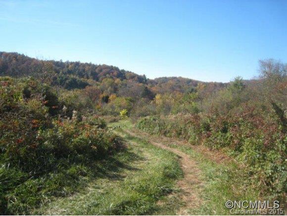 Lot 1-b) Lot 1-b) Rice Branch Road Asheville, NC 28804 - Photo 14 of 15 Gallery Image 14