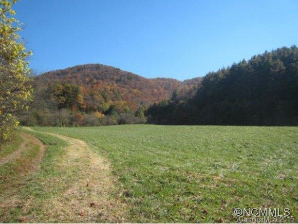 Lot 1-b) Lot 1-b) Rice Branch Road Asheville, NC 28804 - Photo 3 of 15 Gallery Image 3