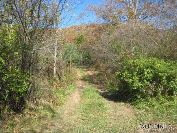 Lot 1-b) Lot 1-b) Rice Branch Road Asheville, NC 28804 - Photo 4 of 15 Gallery Image 4