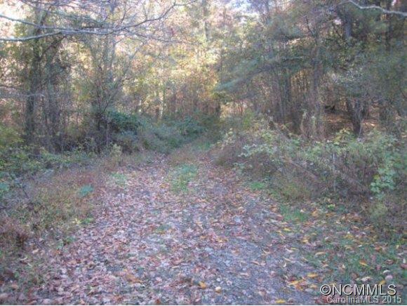 Lot 1-b) Lot 1-b) Rice Branch Road Asheville, NC 28804 - Photo 9 of 15 Gallery Image 9
