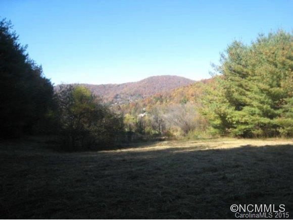 Lot 1-b) Lot 1-b) Rice Branch Road Asheville, NC 28804 - Photo 10 of 15 Gallery Image 10