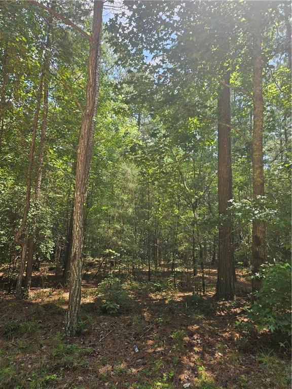 292 Mccannon Road Carlton, GA 30627 - Photo 15 of 21