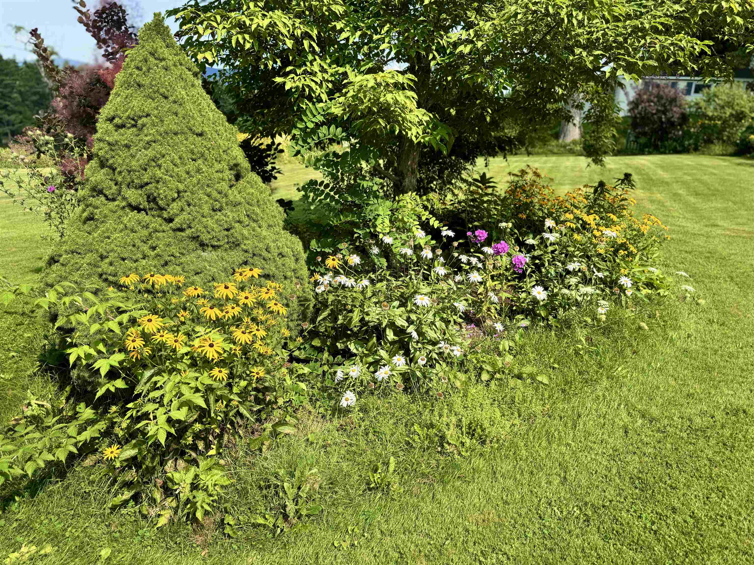 355 Websterville Road Barre Town, VT 05649 - Photo 45 of 56 Gallery Image 45
