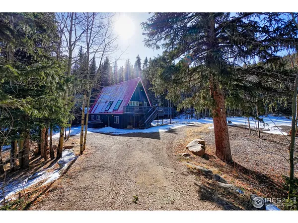 a view of backyard of the house