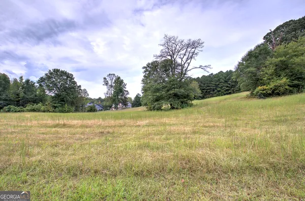 a view of a field with an ocean