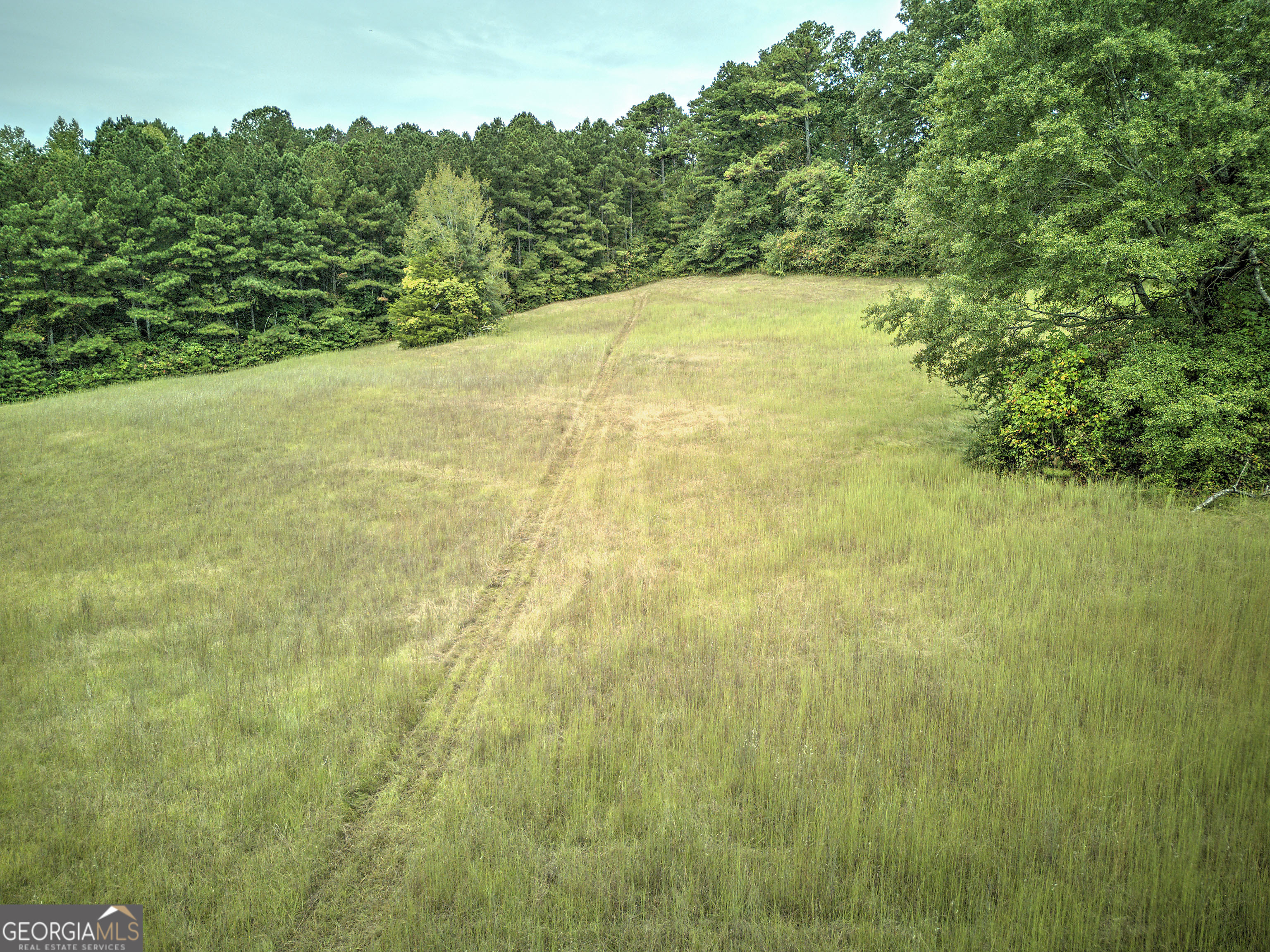 67 Polk Lane Dallas, GA 30132 - Photo 32 of 51 a view of yard with green space