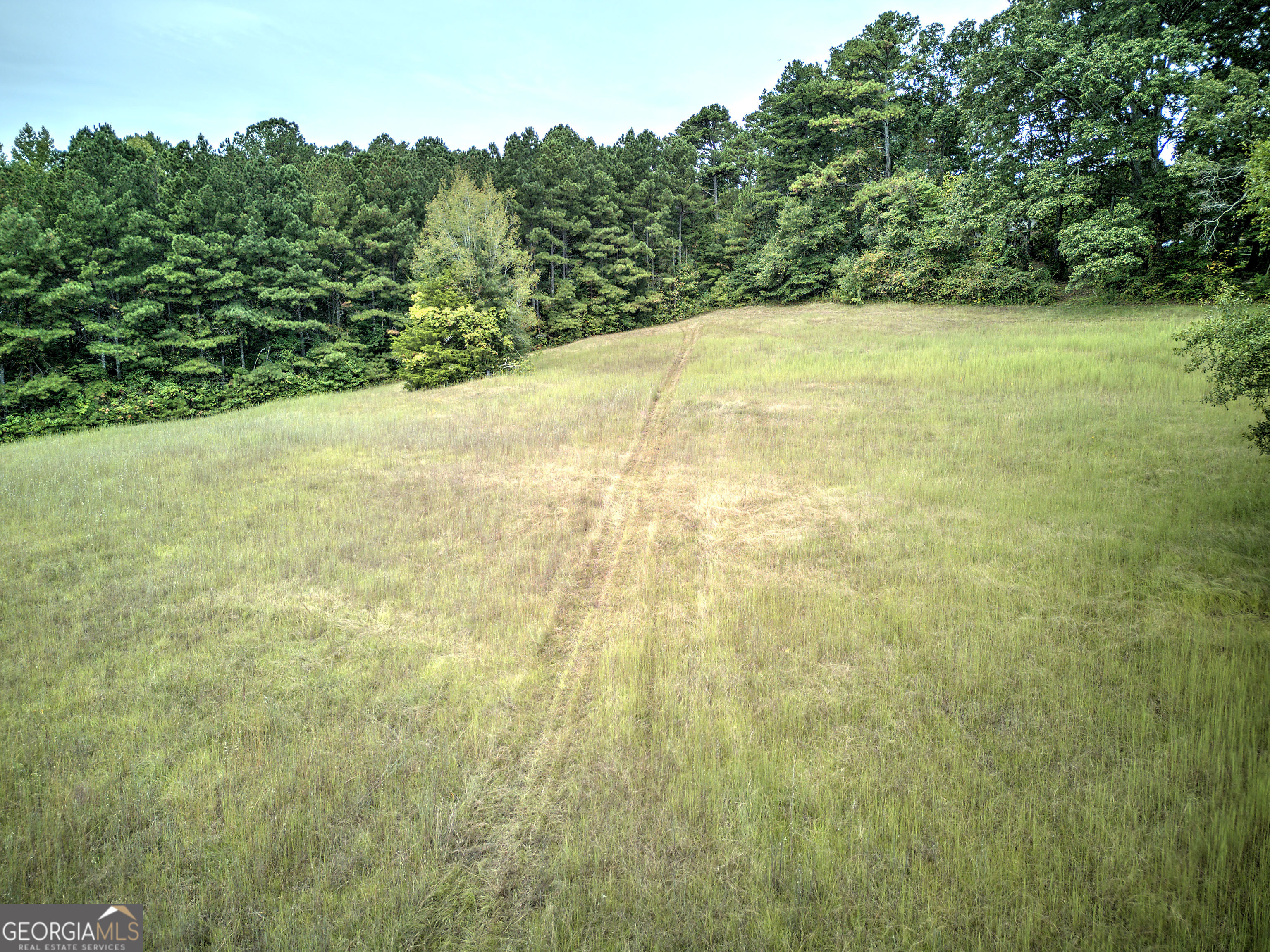 67 Polk Lane Dallas, GA 30132 - Photo 33 of 51 a view of a yard with a tree