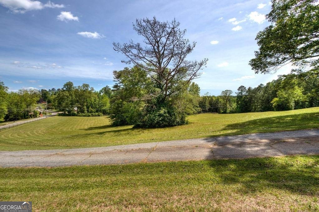 67 Polk Lane Dallas, GA 30132 - Photo 50 of 51 a view of a yard
