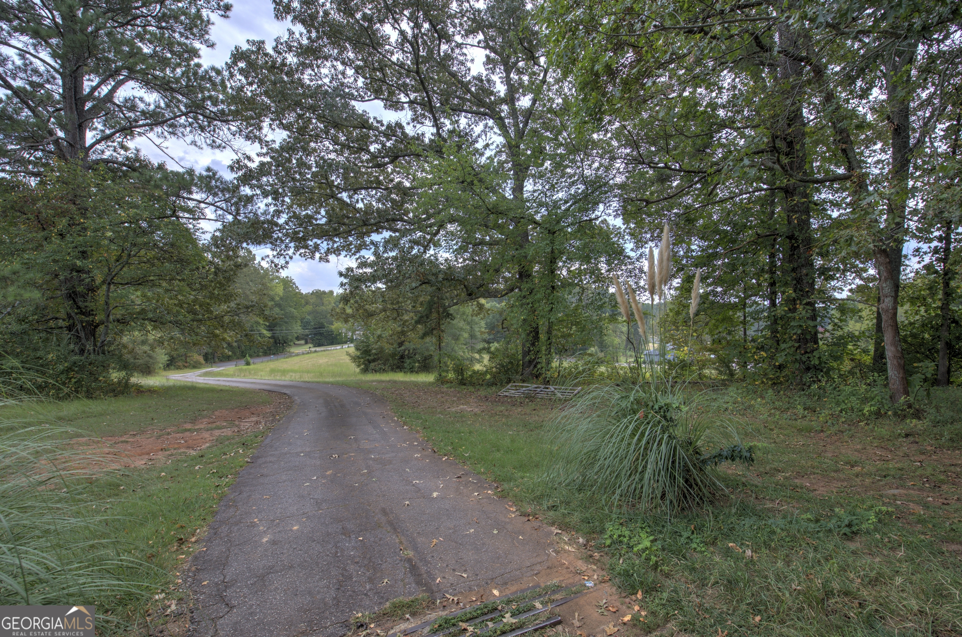 67 Polk Lane Dallas, GA 30132 - Photo 6 of 51 a big yard with lots of green space and deers