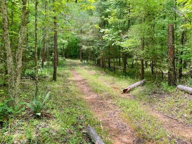 0 Pete Johnson Road Tignall, GA 30668 - Photo 18 of 43