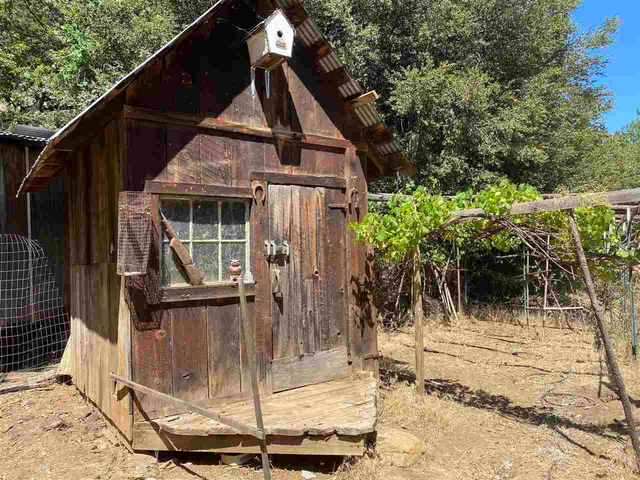25239 Scott River Road Scott Bar, CA 96085 - Photo 27 of 27 Gallery Image 27