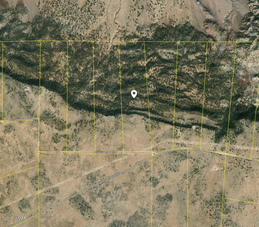 Lot 28 Elk Valley Ranch St. Johns, AZ 85936 - Photo 1 of 1