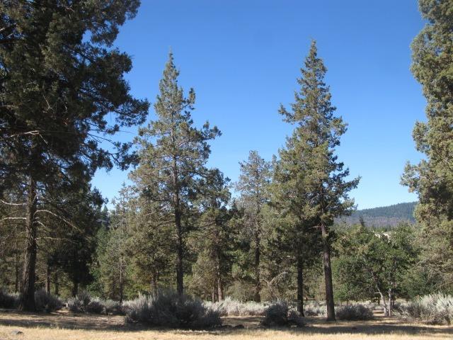0 Kestrel Road Klamath Falls, OR 97601 - Photo 2 of 6 Additional Photo