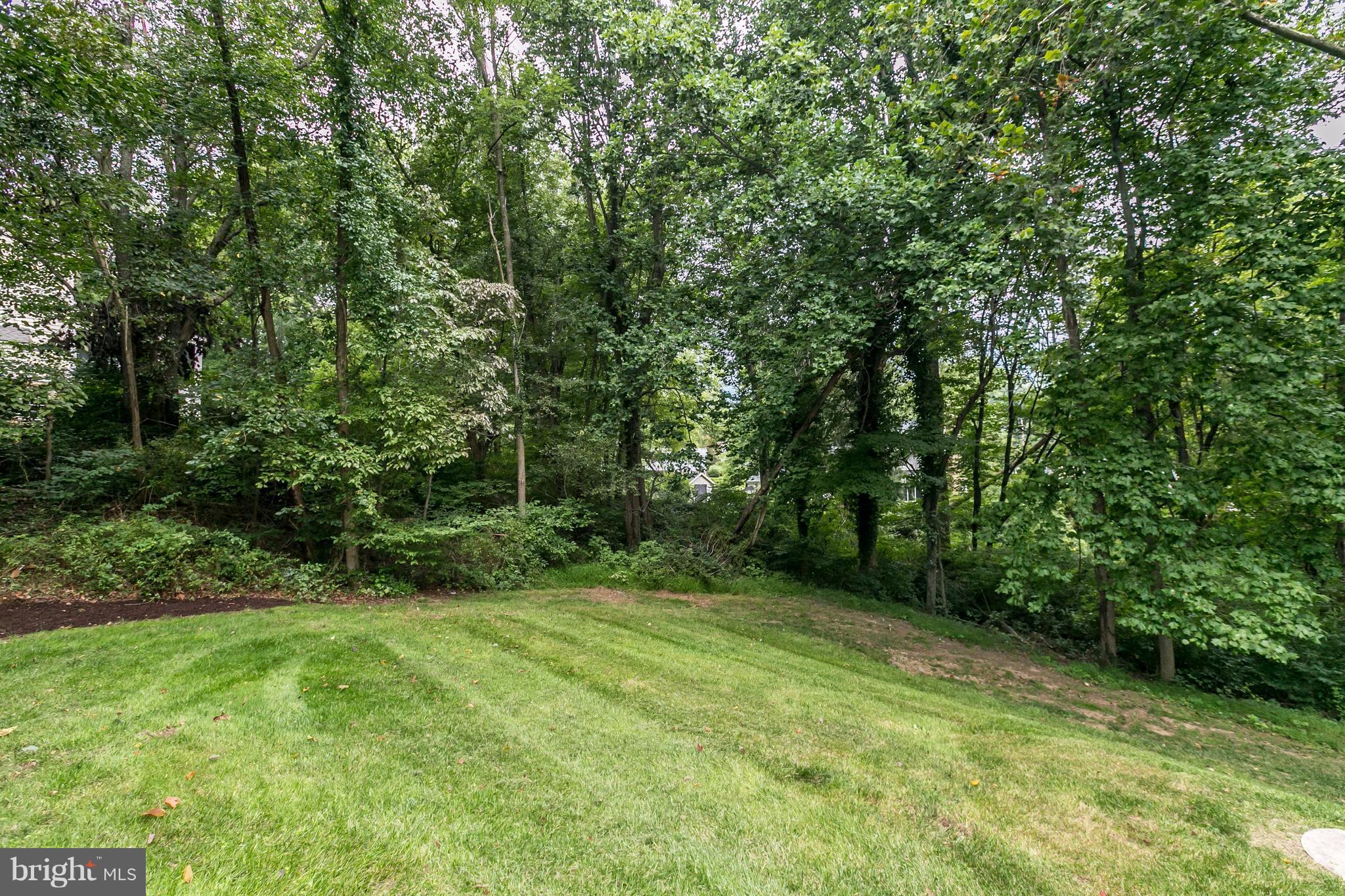 3916 Dance Mill Road Phoenix, MD 21131 - Photo 28 of 29 Side Lawn