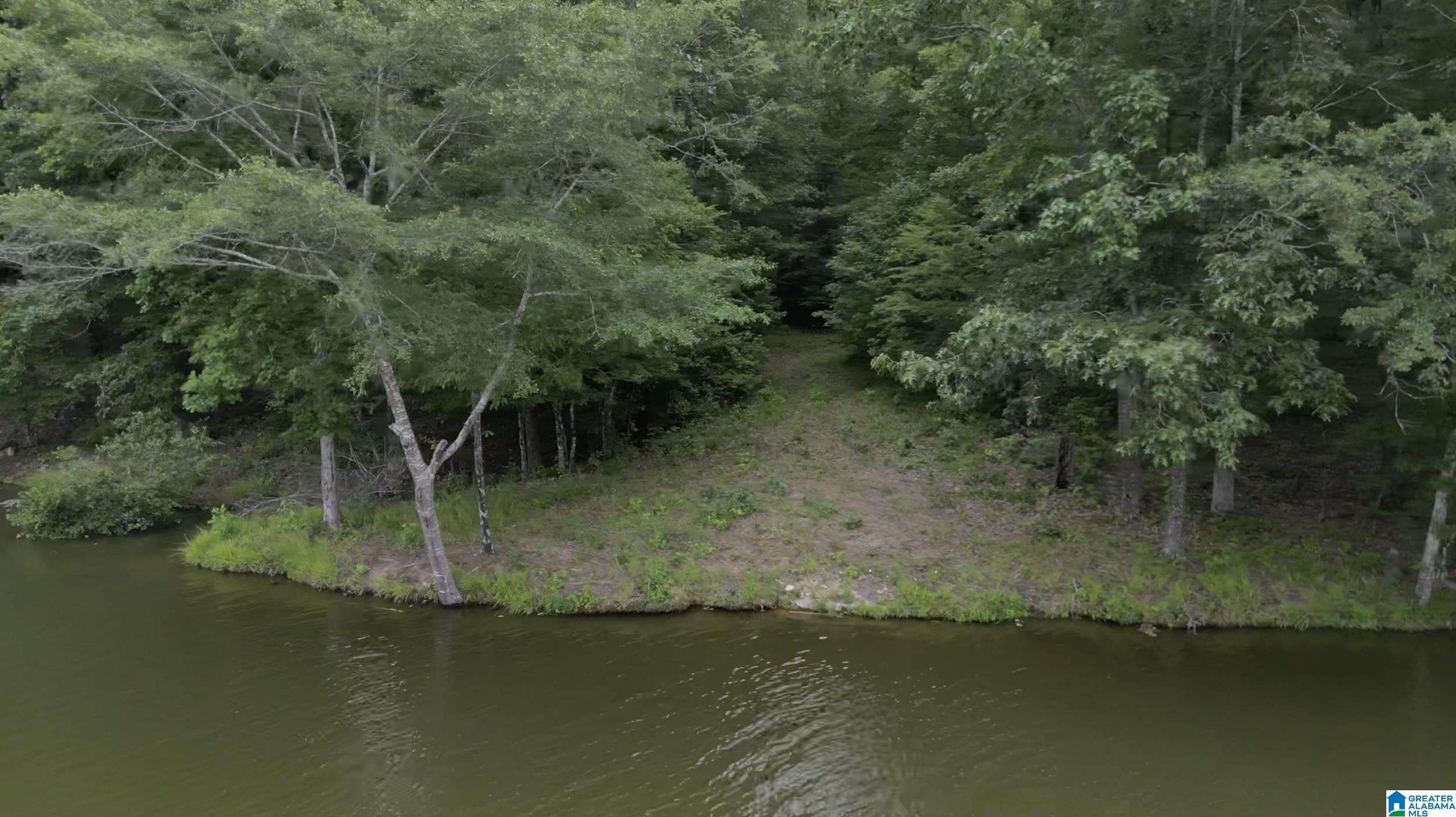 9600 Highway 77, Unit 1 Ohatchee, AL 36271 - Photo 10 of 18