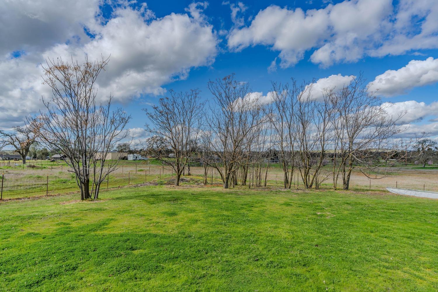 10516 Thompson Way Valley Springs, CA 95252 - Photo 96 of 98