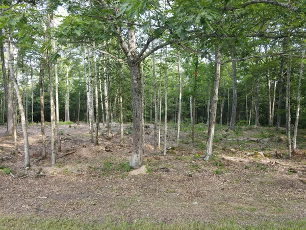 $46,500 | Lot 4 Oak Pond Road, Canaan, ME 04924