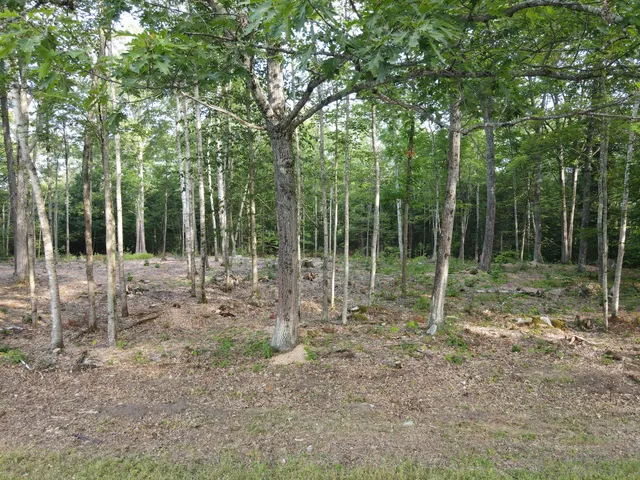 $46,500 | Lot 4 Oak Pond Road, Canaan, ME 04924