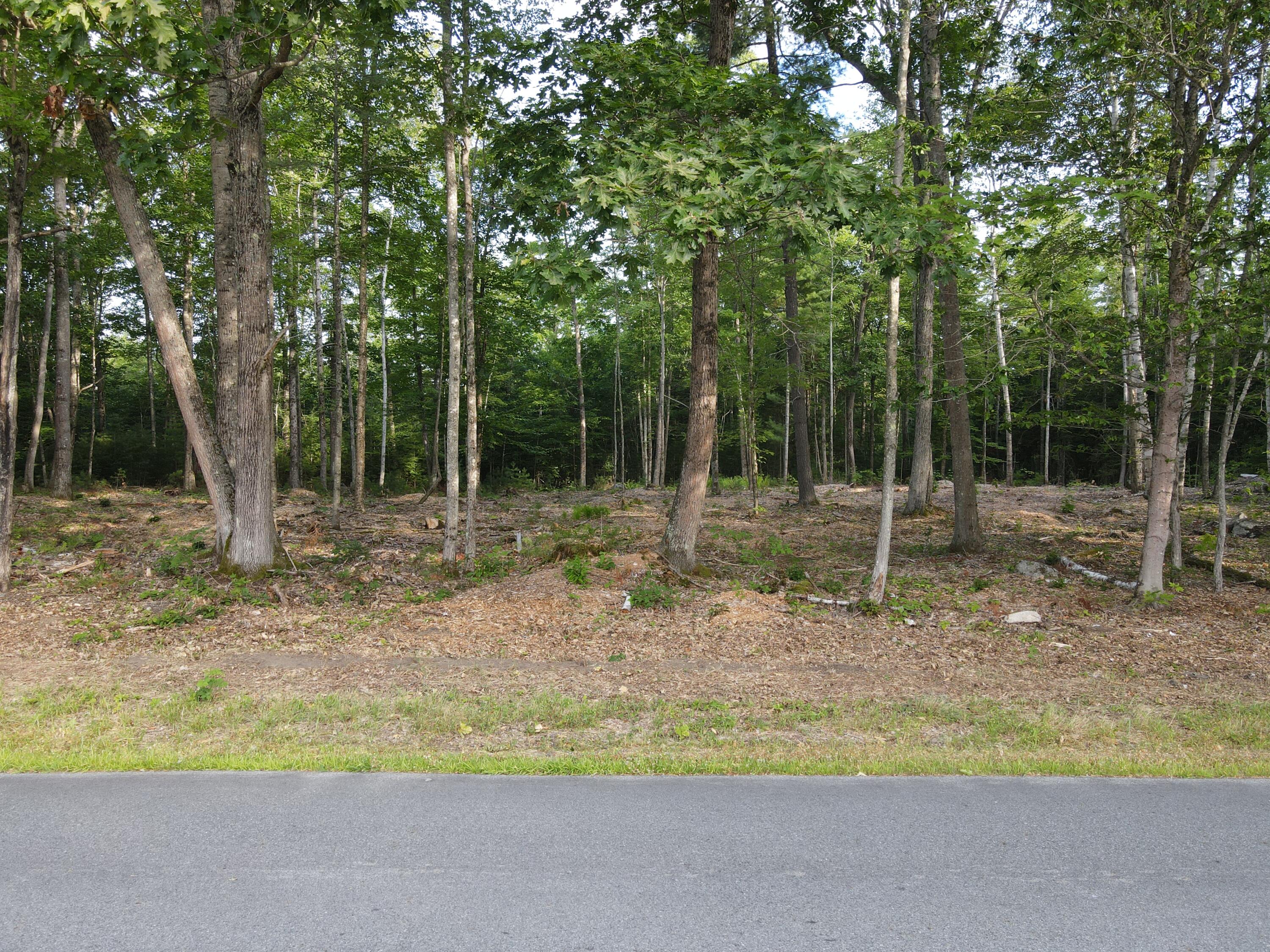 Lot 4 Oak Pond Road Canaan, ME 04924 - Photo 2 of 8 dji_fly_20250807_075616_587_175457141276