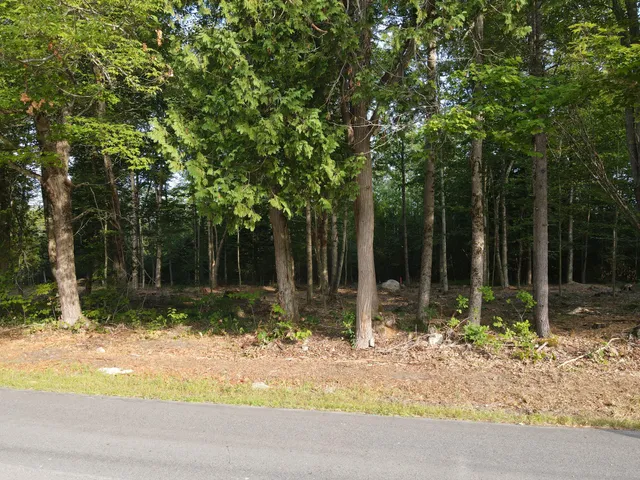 $46,500 | Lot 4 Oak Pond Road, Canaan, ME 04924