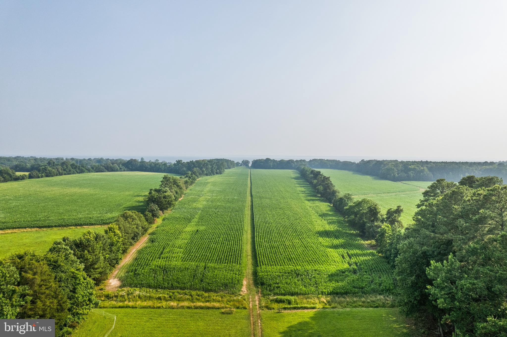 19700 Mulberry Fields Road Leonardtown, MD 20650 - Photo 35 of 137 Avenue Field View from Portico