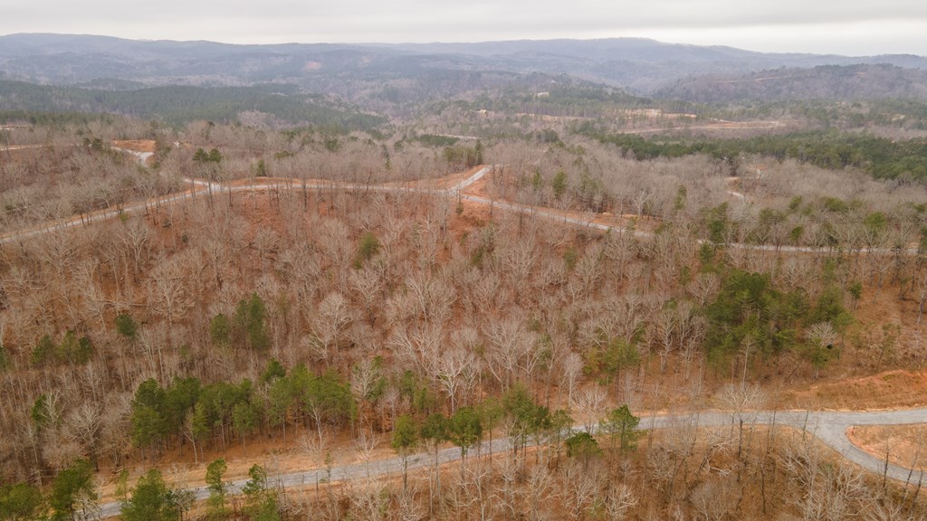 Lot 5 Blalock Mountain Road Talking Rock, GA 30175 - Photo 12 of 22
