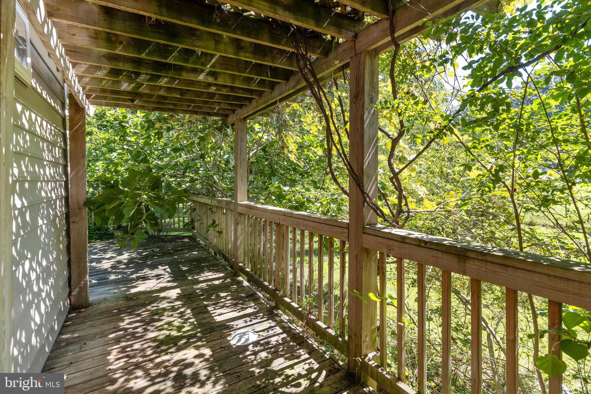 4821 Atwell Road Shady Side, MD 20764 - Photo 36 of 48 Wrap around porch