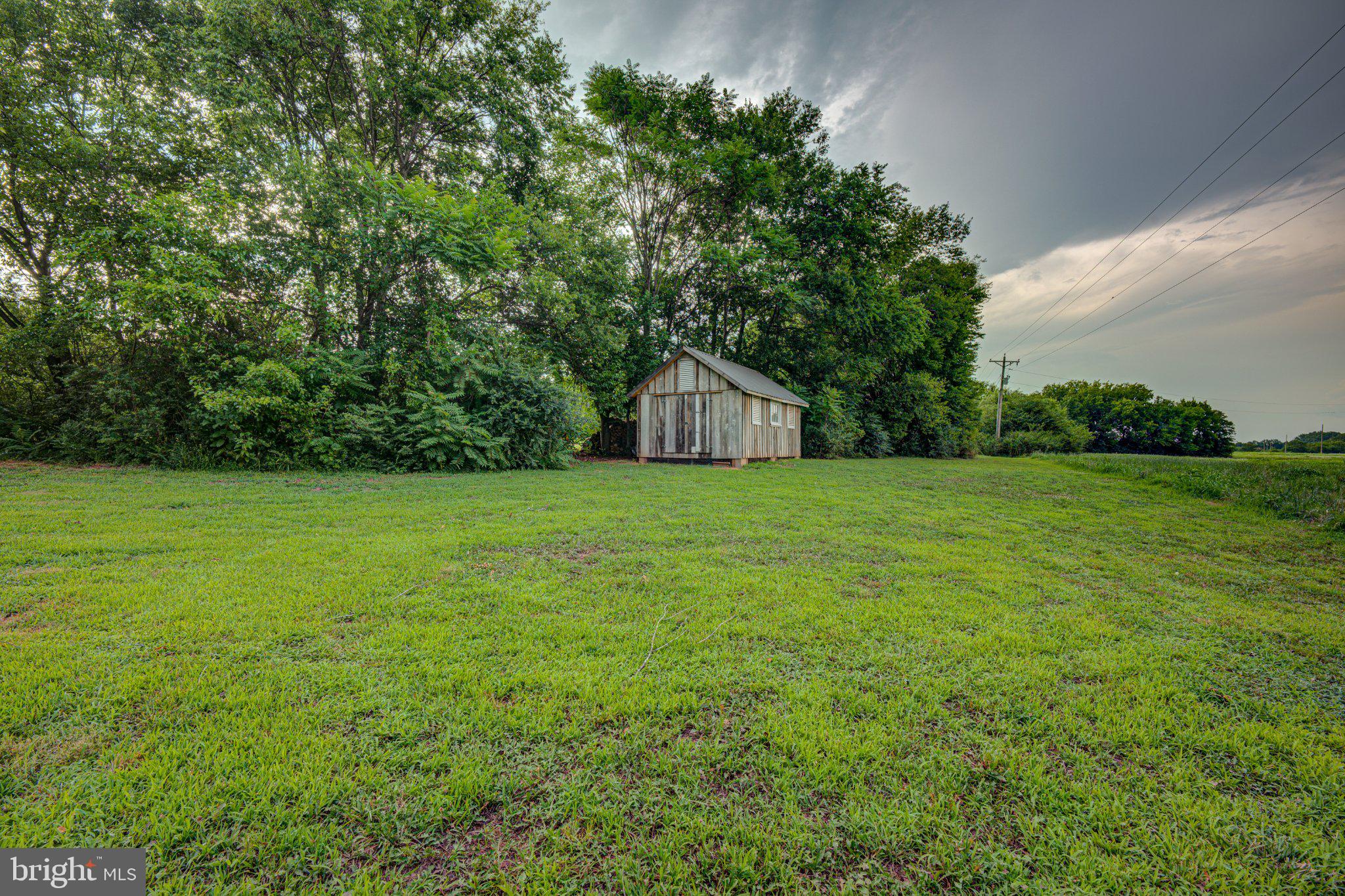 24177 Rapidan Road Mitchells, VA 22729 - Photo 39 of 43 Charming shed amidst lush greenery.