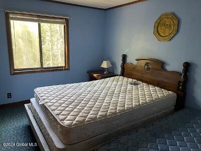 2004 Hoffman Road Schroon Lake, NY 12870 - Photo 36 of 45 bedkg