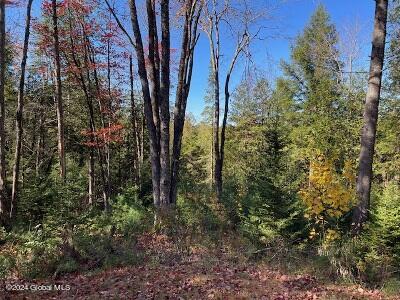 2004 Hoffman Road Schroon Lake, NY 12870 - Photo 42 of 45 woodslg