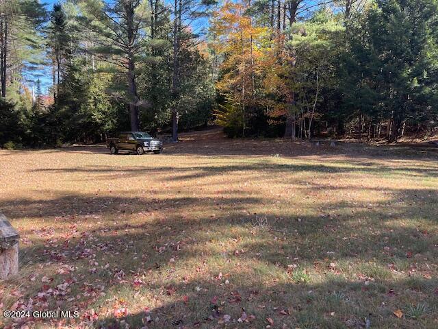 2004 Hoffman Road Schroon Lake, NY 12870 - Photo 43 of 45 yard