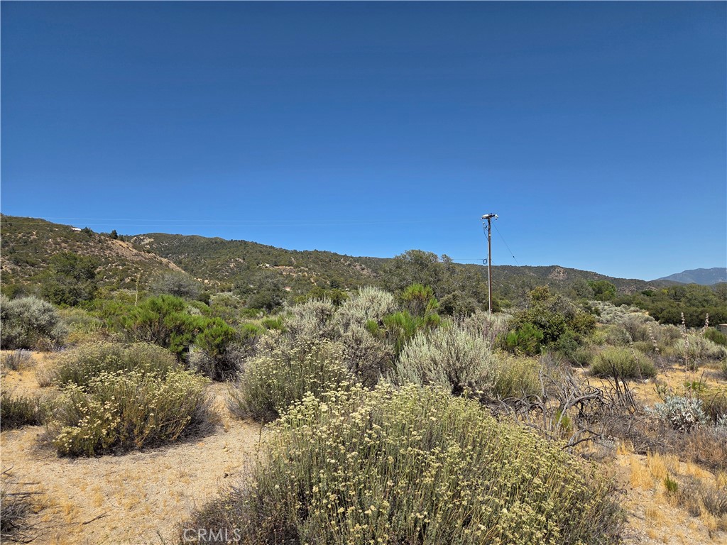 37310 Bohlen Road Anza, CA 92539 - Photo 3 of 11