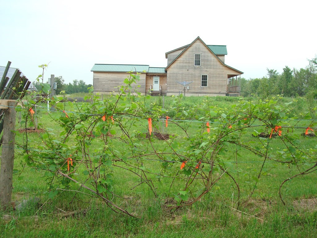180 Bull Run Road Ellenburg Depot, NY 12935 - Photo 19 of 39 Gallery Image 19