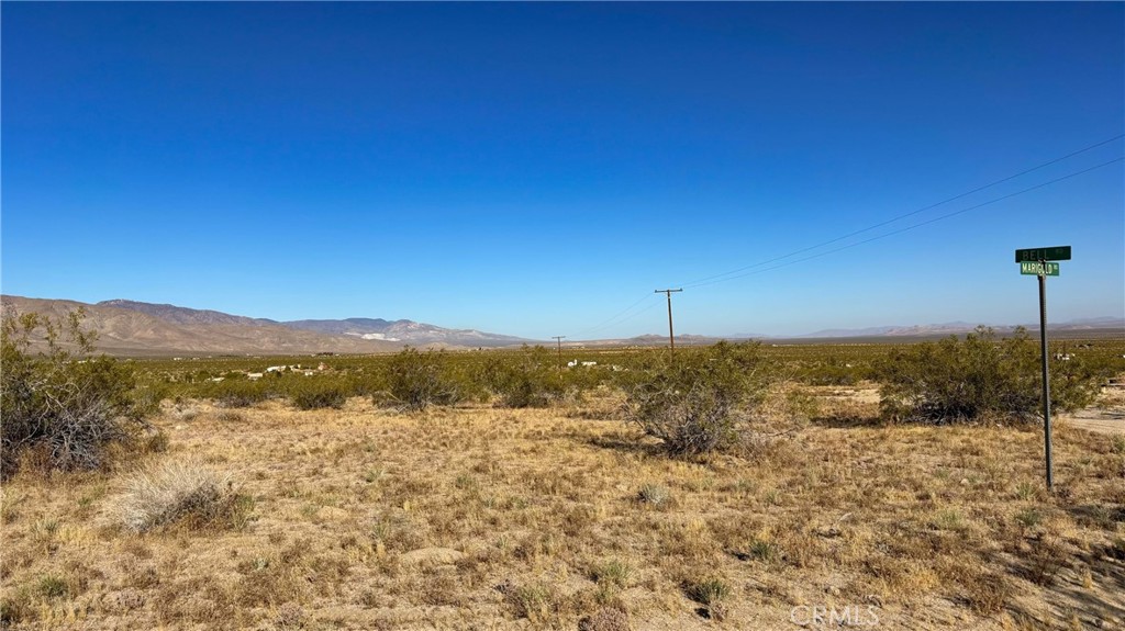 702 Bell Road Johnson Valley, CA 92285 - Photo 6 of 12