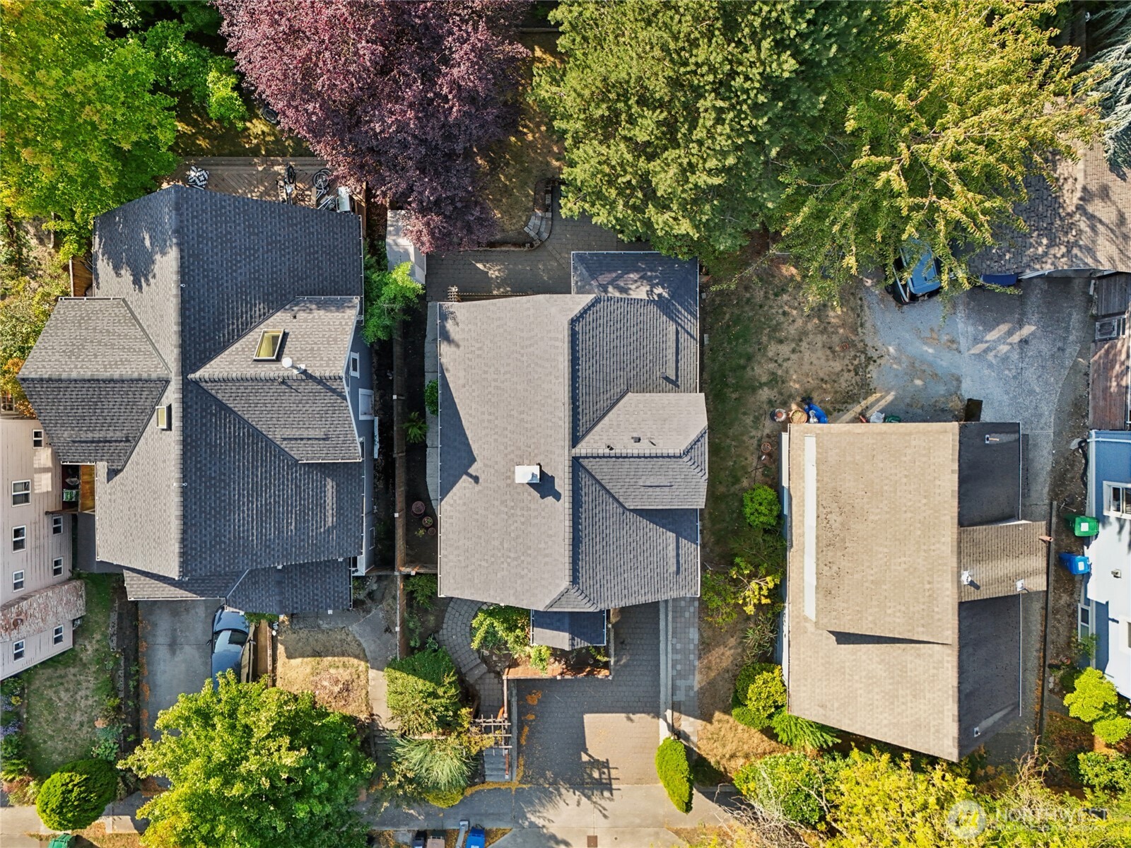 511 23rd Avenue East Seattle, WA 98112 - Photo 37 of 39 an aerial view of a house with a yard and a large tree