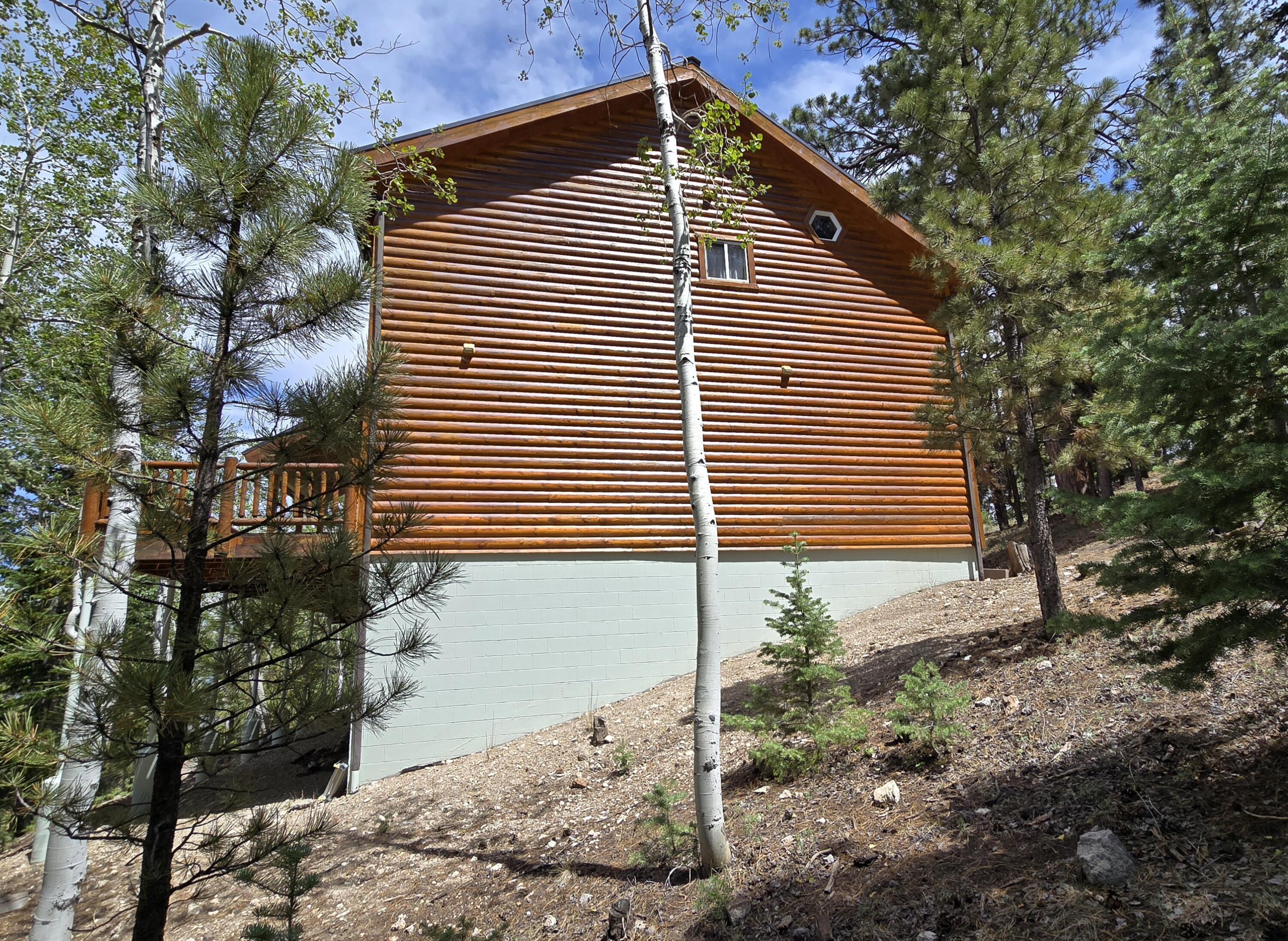 650 South Ridge Point Drive Panguitch, UT 84759 - Photo 34 of 38 View of cabin rear