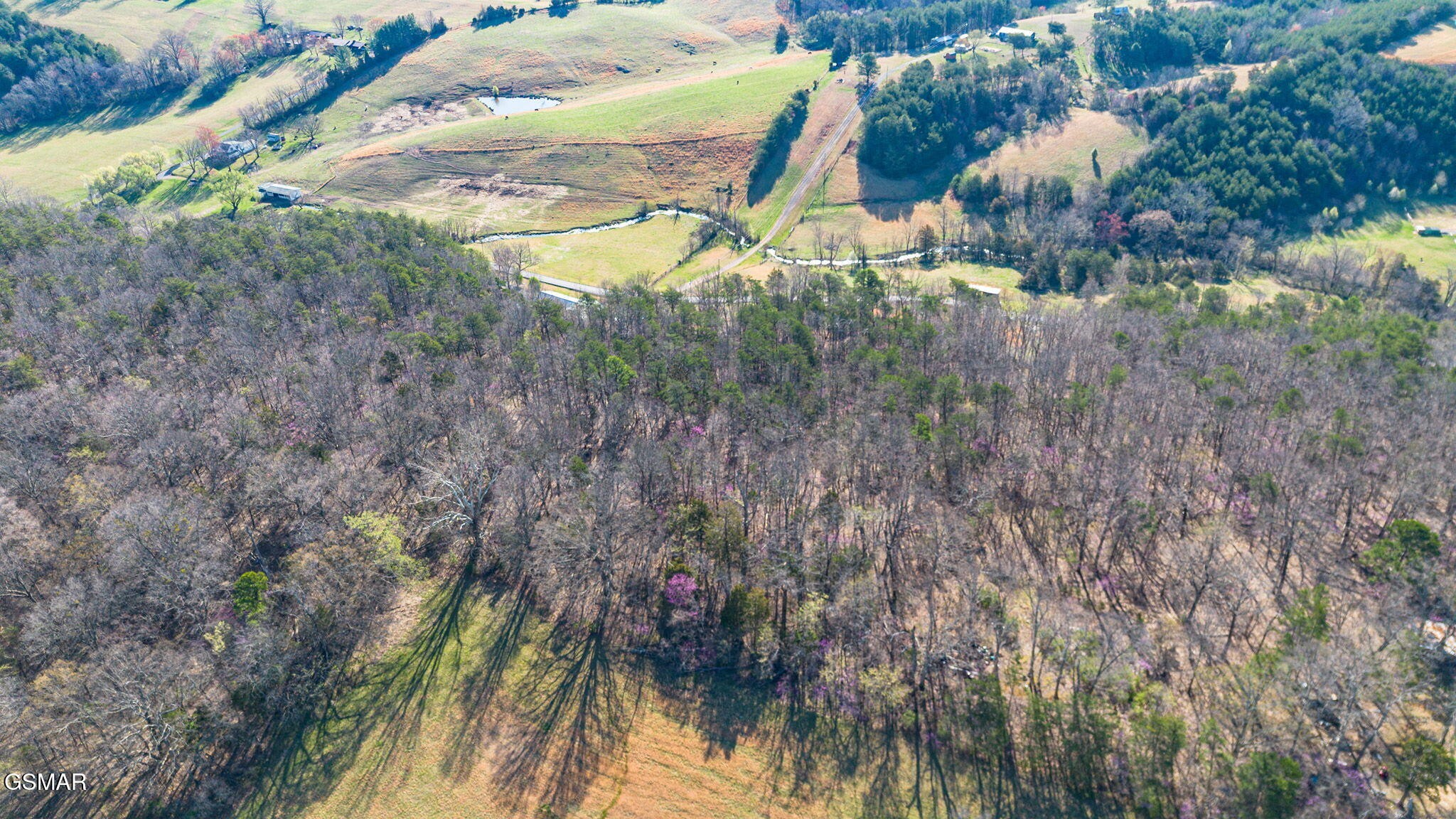 0 Little Meadow Creek Road Greeneville, TN 37743 - Photo 8 of 17