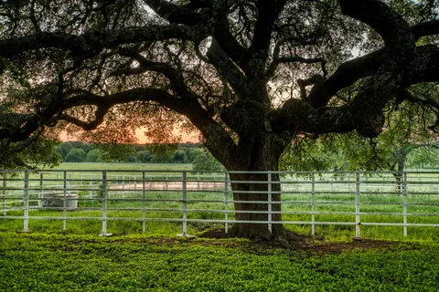 $3,100,000 | Lot 7000 Farm To Market Road 332, Brenham, TX 77833