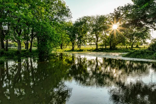 a view of a lake with a yard