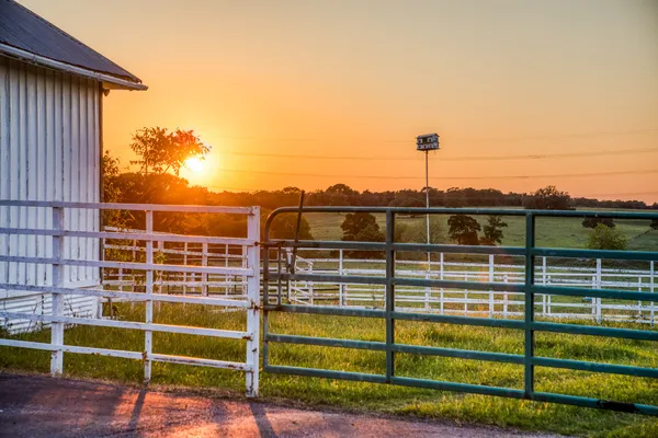 a view of a balcony with a floor to ceiling window