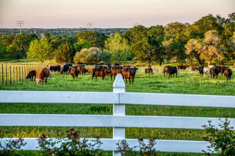 $3,100,000 | Lot 7000 Farm To Market Road 332, Brenham, TX 77833