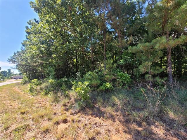 0 Stegall Road Huron, TN 38345 - Photo 1 of 8 a view of a lake with a tree