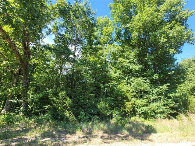0 Stegall Road Huron, TN 38345 - Photo 2 of 8 a view of a yard