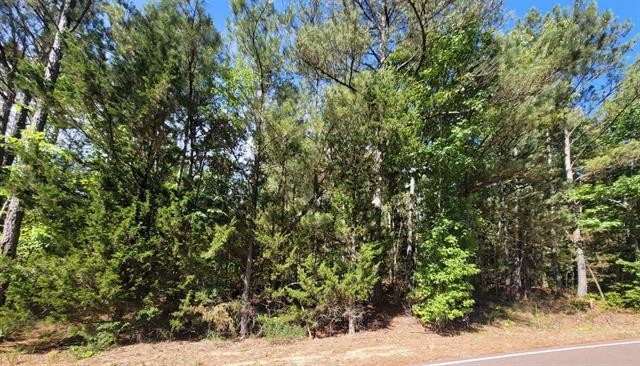 0 Stegall Road Huron, TN 38345 - Photo 3 of 8 a view of a yard with plants and trees