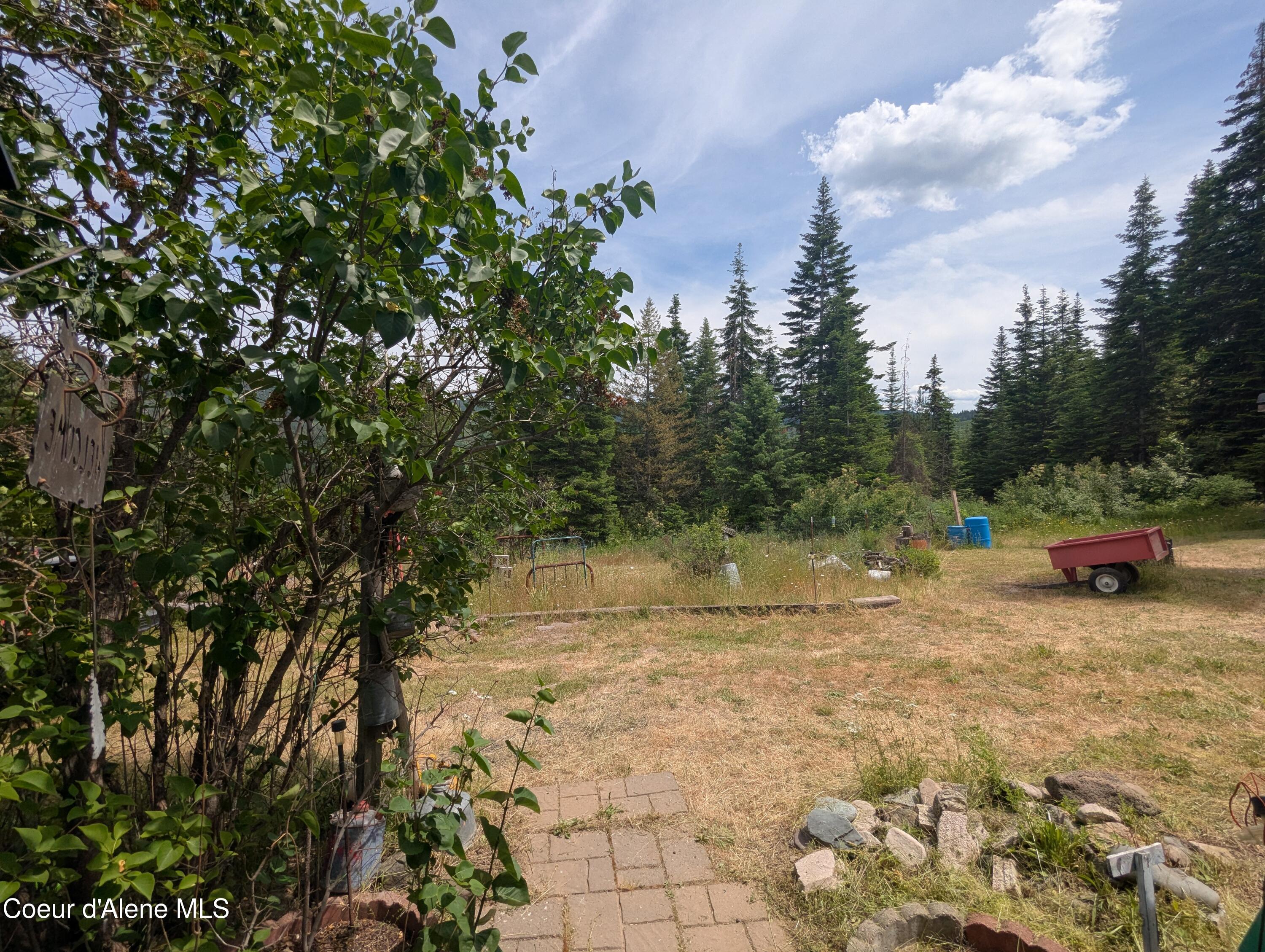 Blake Creek Rd Street St. Maries, ID 83861 - Photo 35 of 37 PXL_20260623_210621344