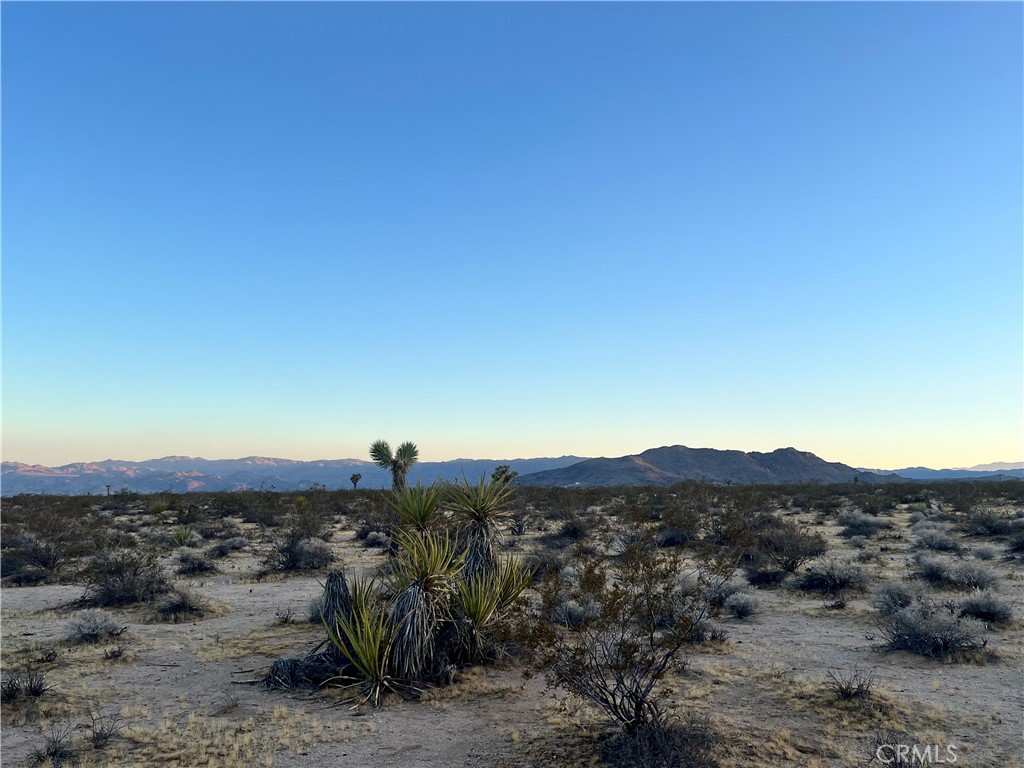 1010 Celeste Road Joshua Tree, CA 92252 - Photo 2 of 9 Gallery Image 2