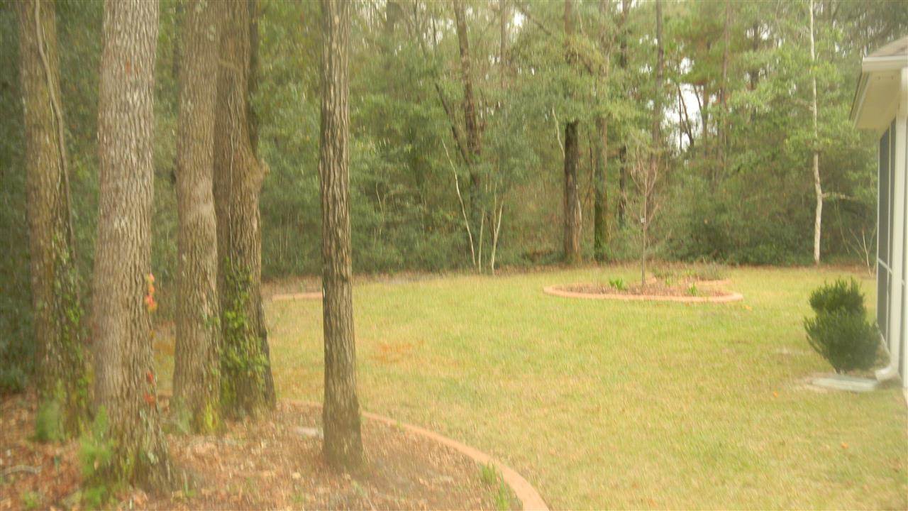 117 Linzy Store Road Crawfordville, FL 32327 - Photo 1 of 18 Gallery Image 1