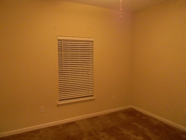 117 Linzy Store Road Crawfordville, FL 32327 - Photo 6 of 18 Gallery Image 6
